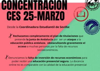 La Coordinadora Estudiantil Sevillana organiza una concentración en la Plaza San Francisco (Sevilla)