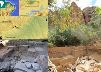 Hallan un enigmático artefacto de piedra de 24.000 años en Vale da Pedra Furada en Brasil