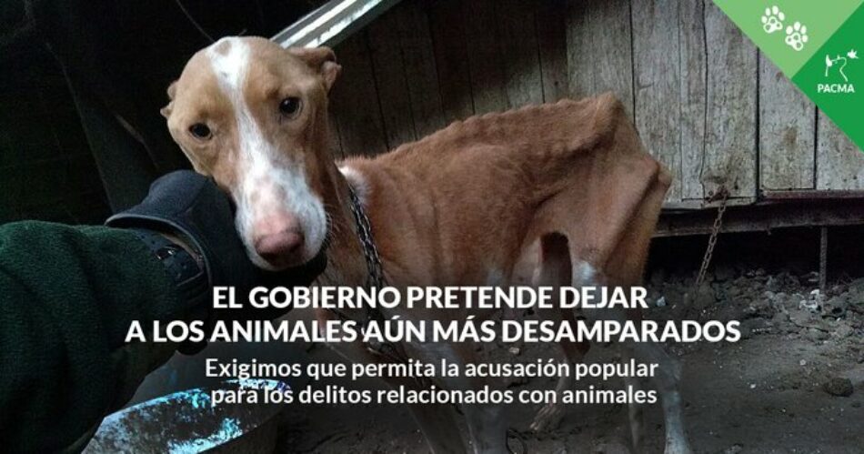 PACMA exige al Gobierno que permita la acusación popular en los delitos relacionados con animales