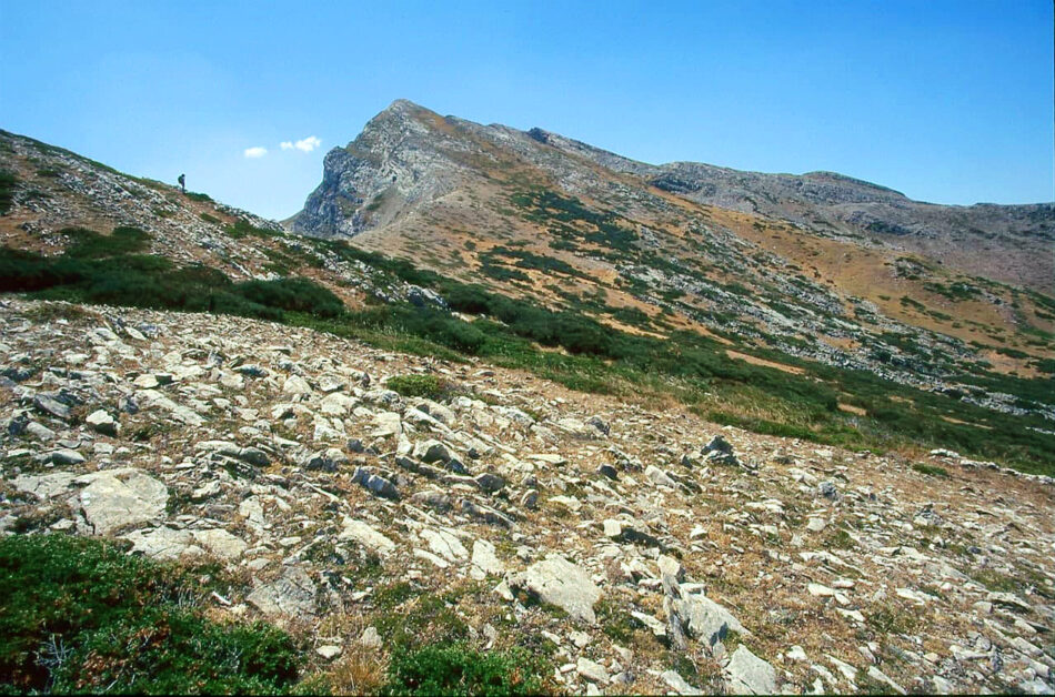 Cuando la cumbre es la tierra que sueñas: El activismo y el mundo del deporte se unen contra los parques eólicos en la Montaña Central Leonesa