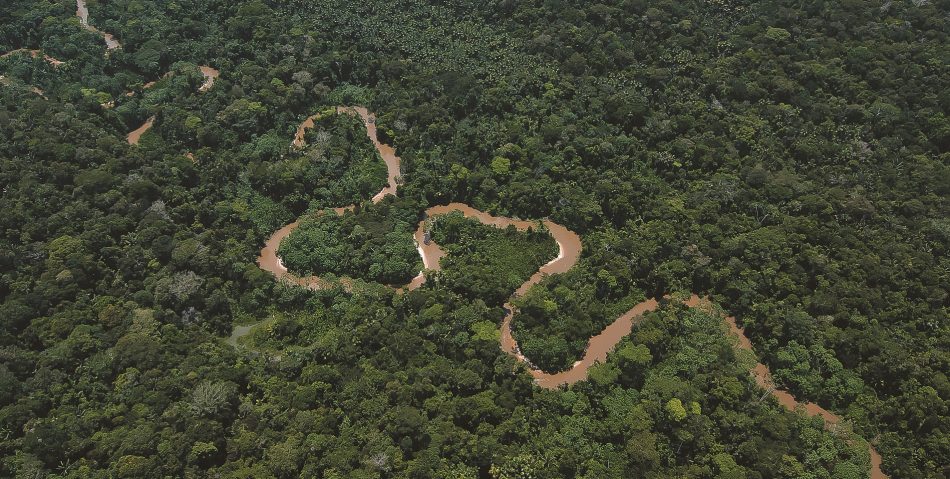 Greenpeace exige mayor protección de los ecosistemas tras el informe de la OMS que confirma el vínculo entre la pérdida de biodiversidad y las enfermedades zoonóticas