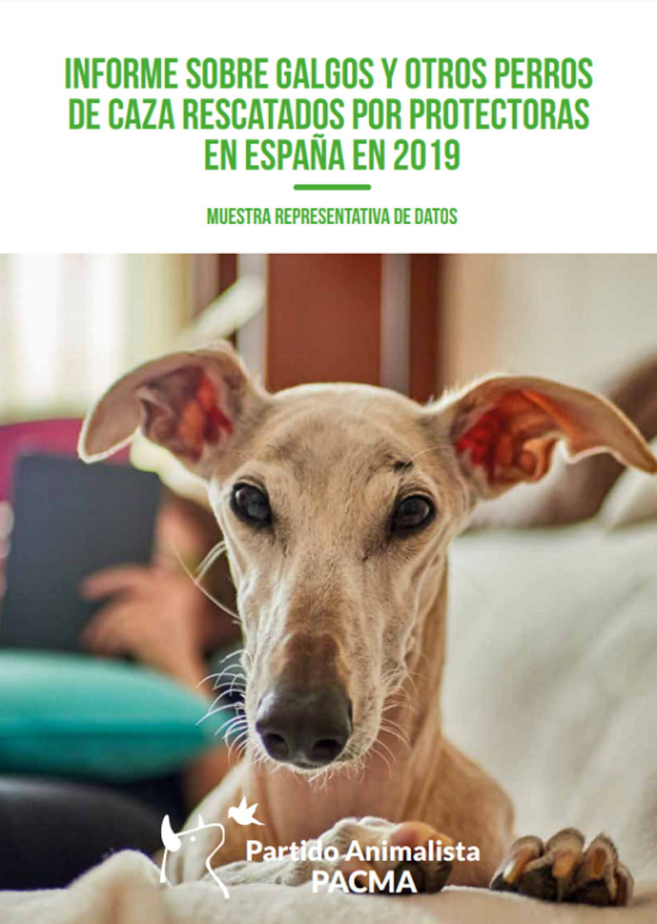 PACMA elabora un informe junto a 98 protectoras para demostrar que los cazadores abandonan a miles de perros cada año