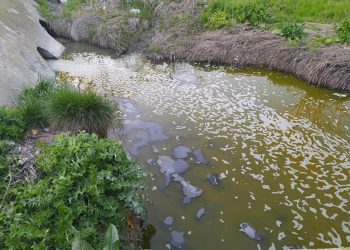 La vecindad de Perales del Río, alarmada por la contaminación y pestilencia del arroyo de La Abulera