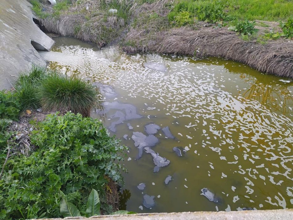 La vecindad de Perales del Río, alarmada por la contaminación y pestilencia del arroyo de La Abulera