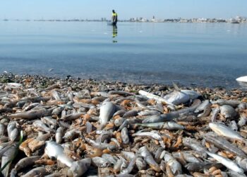 El Convenio de Barcelona de Naciones Unidas anuncia que entrará al fondo de la queja sobre el Mar Menor