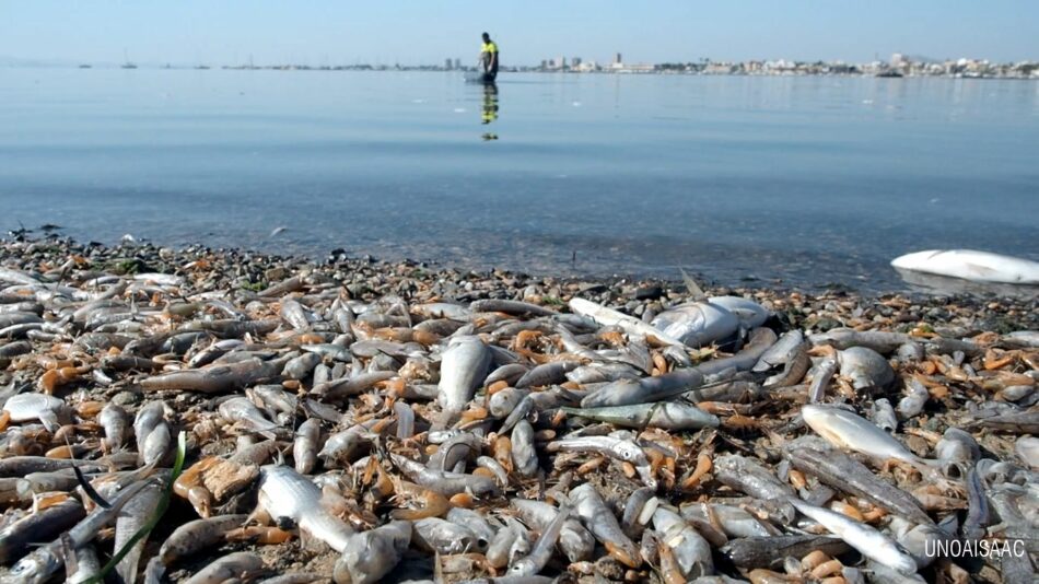 Los peticionarios ante el Parlamento Europeo presentan 25 enmiendas al informe de la Misión de Investigación sobre el Mar Menor