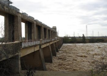 Unidas Podemos pide al Gobierno permeabilizar las presas del Bajo Guadalquivir para recuperar la biodiversidad del río