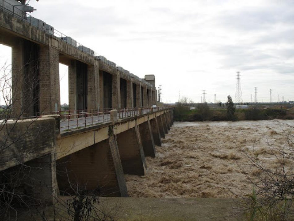 Unidas Podemos pide al Gobierno permeabilizar las presas del Bajo Guadalquivir para recuperar la biodiversidad del río