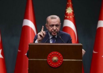 Erdogan acusa a almirantes retirados de impulsar un golpe político