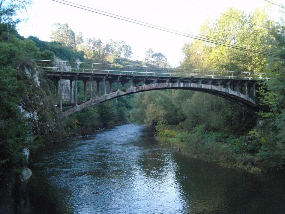 Ecologistas en Acción presenta alegaciones al encauzamiento del río Saja