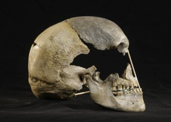 El sexo entre los primeros sapiens europeos y los neandertales fue más común de lo que se creía