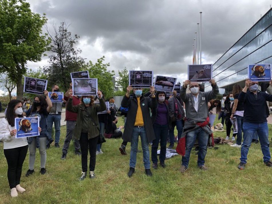 PACMA y otras entidades animalistas presentan una querella criminal contra el laboratorio Vivotecnia