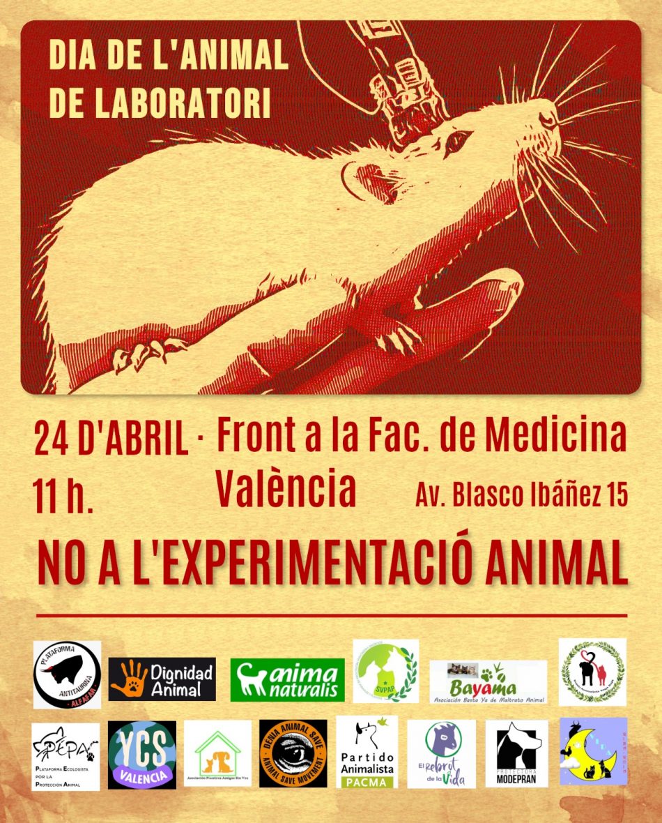 24 d´abril: «No a l´experimentació animal» (València)