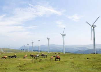 La ley de cambio climático abre un camino que necesitará del mejor conocimiento científico