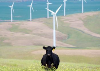 Unións Agrarias, Ventonoso y ASEFOGA alertan de que la actual avalancha de parques eólicos en proyecto está creando alarma social en el rural gallego