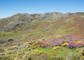 Anova denuncia que os parques eólicos Prada e Alto Cabrera, de alto impacto en Pena Trevinca, son dous dos maiores exemplos do modelo do espolio vixente a nivel galego