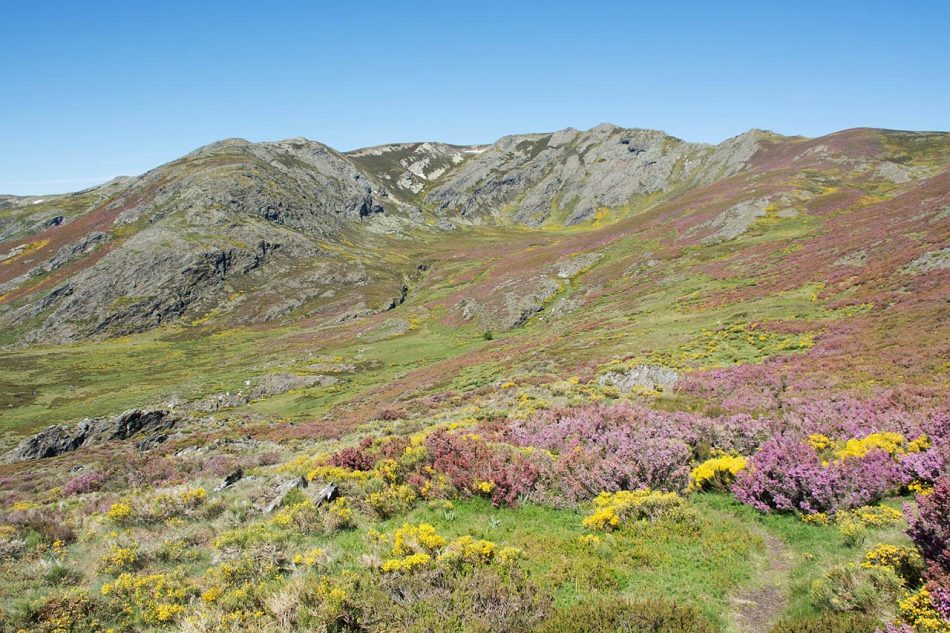 Anova denuncia que os parques eólicos Prada e Alto Cabrera, de alto impacto en Pena Trevinca, son dous dos maiores exemplos do modelo do espolio vixente a nivel galego