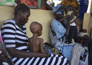 Casi siete millones de personas están «a un paso» de la hambruna en África oriental, alerta World Vision