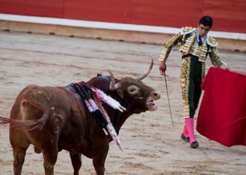 #EstoLoPagasTÚ, la campaña que denuncia las subvenciones públicas a la tauromaquia