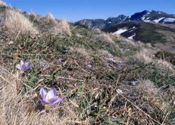 El manifiesto para salvar el macizo de Peña Trevinca suma apoyos en defensa del paisaje y los valores de la alta montaña gallega