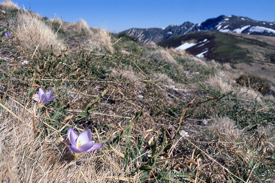 El manifiesto para salvar el macizo de Peña Trevinca suma apoyos en defensa del paisaje y los valores de la alta montaña gallega