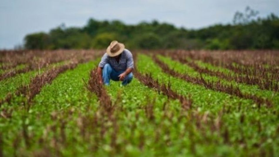 Cuba aprueba paquete de medidas para impulsar la producción de alimentos