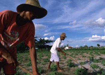 Amigos de la Tierra pide políticas para apoyar la agricultura campesina