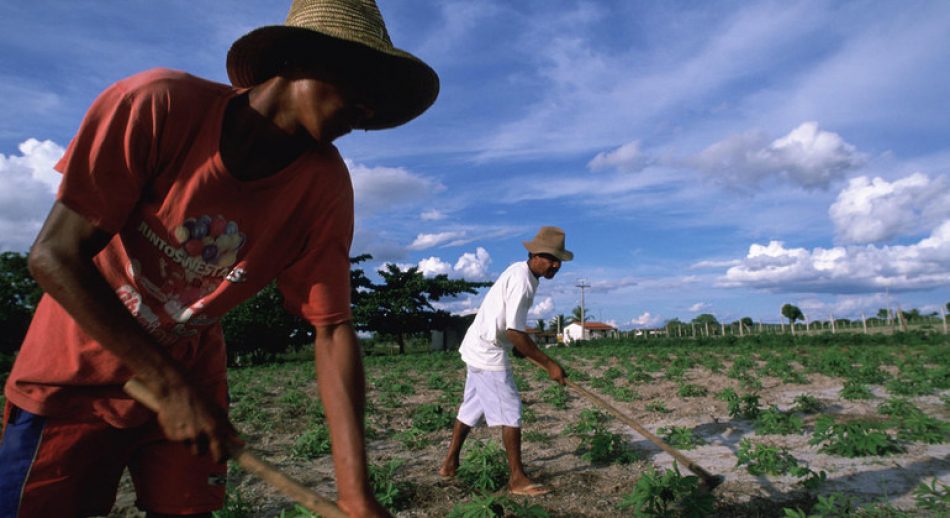 Amigos de la Tierra pide políticas para apoyar la agricultura campesina