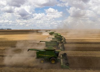 El monocultivo de soja puede dejar a los brasileños sin arroz ni frijoles en la mesa
