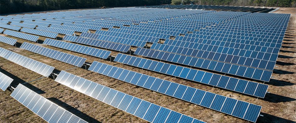 El Tribunal Superior de Justicia admite a trámite el recurso de Ecologistas en Acción contra el mayor parque solar de Navarra