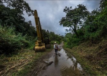 La mayoría de los países de Latinoamérica no ratifican el acuerdo de Escazú para proteger a los defensores ambientales