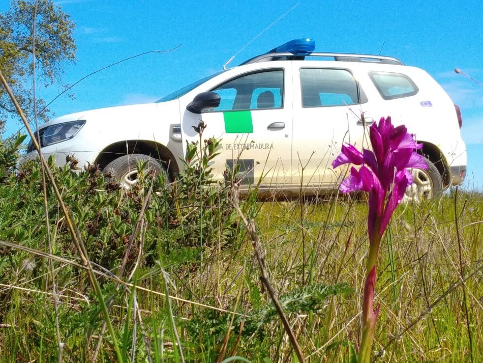 Preocupación ante la detonación de bombas caseras en vehículos oficiales de Agentes del Medio Natural en la Comarca de la Vera