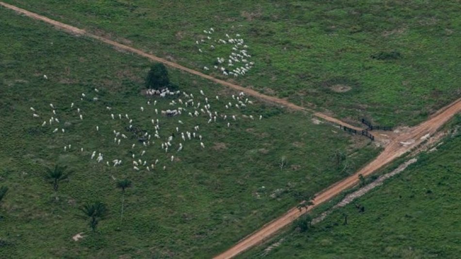 Mientras la crisis ecológica avance no hay nada que celebrar el Día de la Tierra