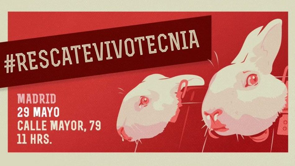 Mañana, 29 de mayo, tendrá lugar una multitudinaria manifestación en Madrid para exigir el rescate de los animales de Vivotecnia