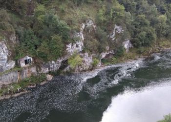 El Tribunal Supremo estima un recurso de IIDMA frente a los vertidos de la Central Térmica de Soto de Ribera en el río Nalón