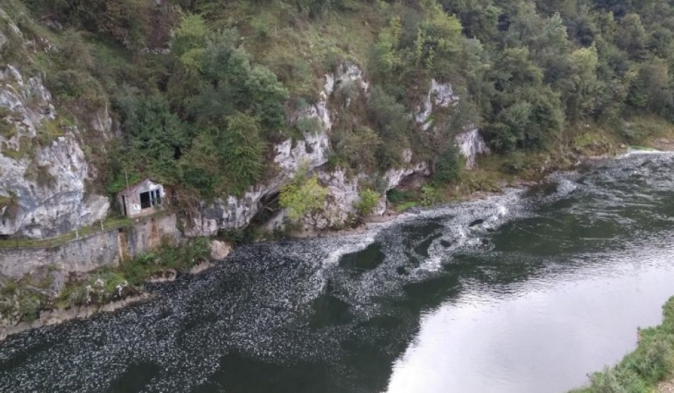 El Tribunal Supremo estima un recurso de IIDMA frente a los vertidos de la Central Térmica de Soto de Ribera en el río Nalón