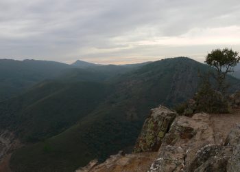 Satisfacción en Ecologistas Extremadura tras 16 meses sin monterías ni suelta de rehalas dentro del Parque Nacional de Monfragüe