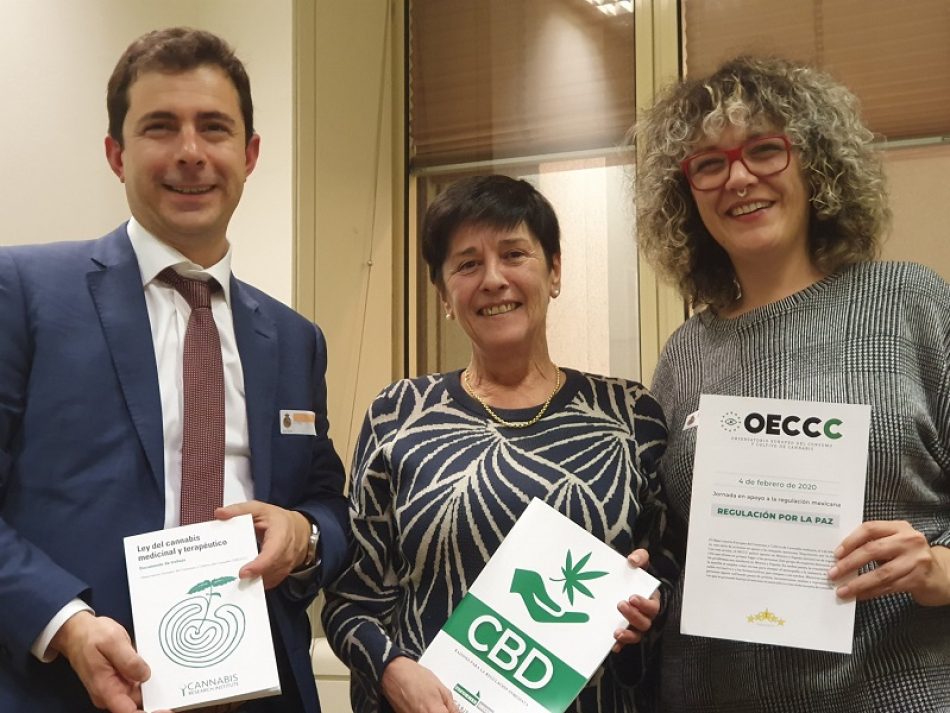 Expertos piden que la futura regulación del cannabis medicinal sea inclusiva y con diversas vías de acceso