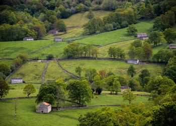 La fuerza de la razón golpea al parque eólico Ribota: el Gobierno de Cantabria tumba el informe ambiental de Green Capital Power por su impacto negativo sobre los Valles Pasiegos