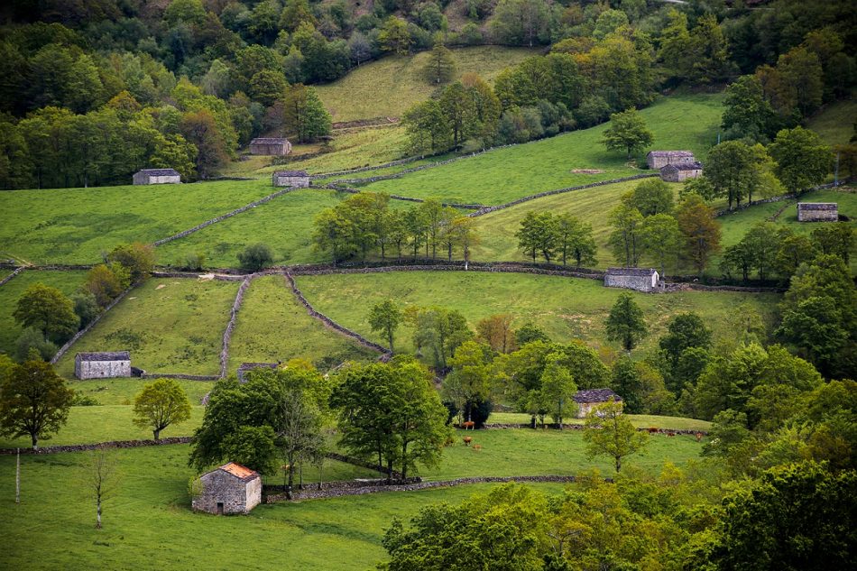 La fuerza de la razón golpea al parque eólico Ribota: el Gobierno de Cantabria tumba el informe ambiental de Green Capital Power por su impacto negativo sobre los Valles Pasiegos