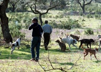Presentan alegaciones a la resolución por la que se inicia el expediente de declaración de BIC de la Montería y la Rehala en Extremadura
