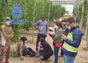 “Quienes explotan y abusan de sus trabajadores en el campo son los que manchan la agricultura almeriense”