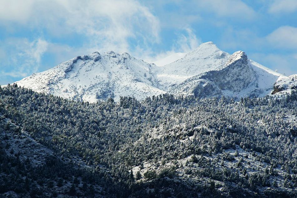 Más País Andalucía muestra su preocupación por el impacto de la mega planta fotovoltaica proyectada en el entorno del Parque Natural Sierra de las Nieves