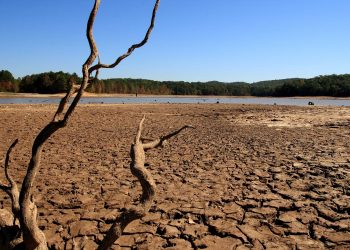Portugal busca alternativas ante el avance de la dramática sequía