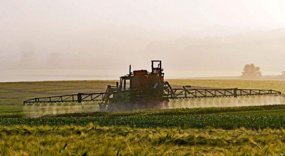 ‘Directo a tus hormonas’ destapa los plaguicidas que hay los alimentos