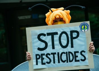 Las principales organizaciones ecologistas reclaman la prohibición de plaguicidas peligrosos para las colonias de insectos