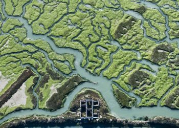 Doñana en la encrucijada