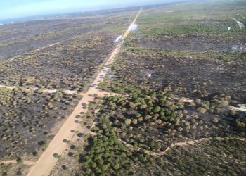 Unidas Podemos pide “acelerar” las medidas para eliminar la extracción ilegal en Doñana y su entorno tras la condena europea a España