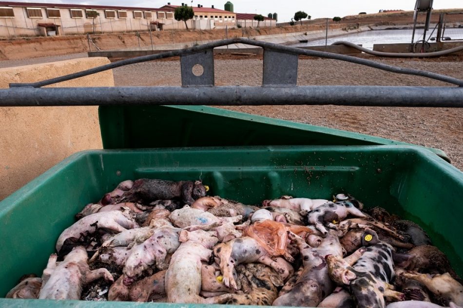 Más del 35% de las aguas analizadas por la Red Ciudadana de Vigilancia están contaminadas por nitratos