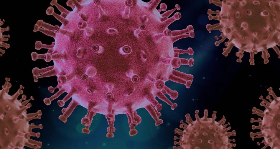 El CSIC identifica moléculas que frenan la entrada del coronavirus en las células